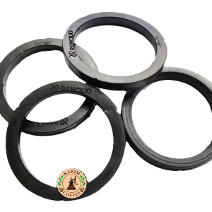 واشر اسپرسو ساز صنعتی رنچیلیو